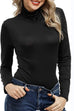 Heididress Turtleneck Long Sleeves Basic Bottoming Shirt