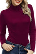 Heididress Turtleneck Long Sleeves Basic Bottoming Shirt