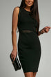 Heididress Mesh Splice Waisted Sleeveless Pencil Dress