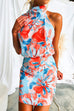 Tie Neck Sleeveless Open Back Floral Print Mini Dress